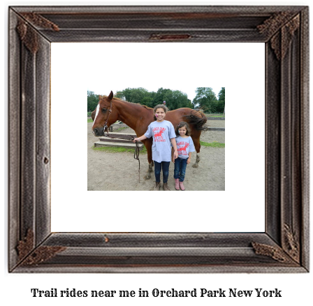 trail rides near me in Orchard Park, New York